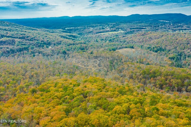 Tower Rd, Rockwood, TN 37854 - photo 17