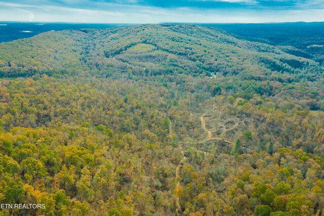 Tower Rd, Rockwood, TN 37854 - photo 21