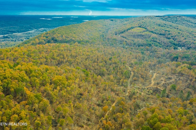 Tower Rd, Rockwood, TN 37854 - photo 22