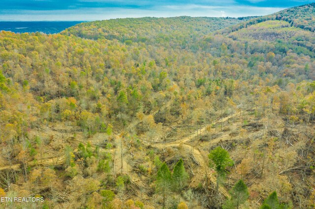 Tower Rd, Rockwood, TN 37854 - photo 24