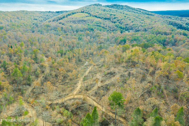 Tower Rd, Rockwood, TN 37854 - photo 25