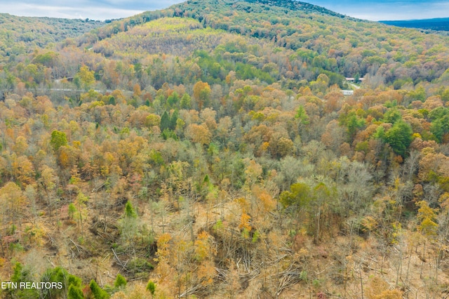 Tower Rd, Rockwood, TN 37854 - photo 26