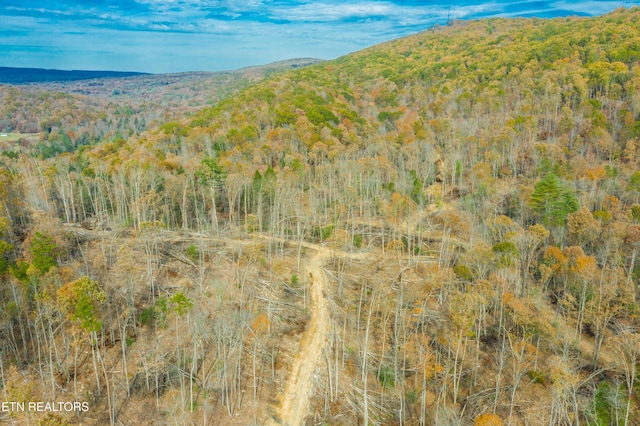 Tower Rd, Rockwood, TN 37854 - photo 1
