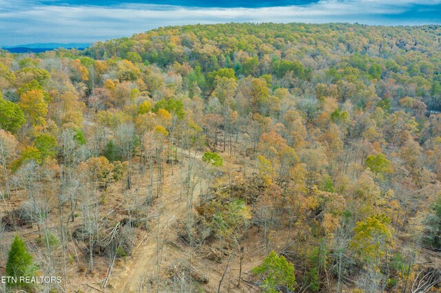 Tower Rd, Rockwood, TN 37854 - photo 27