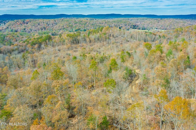 Tower Rd, Rockwood, TN 37854 - photo 28