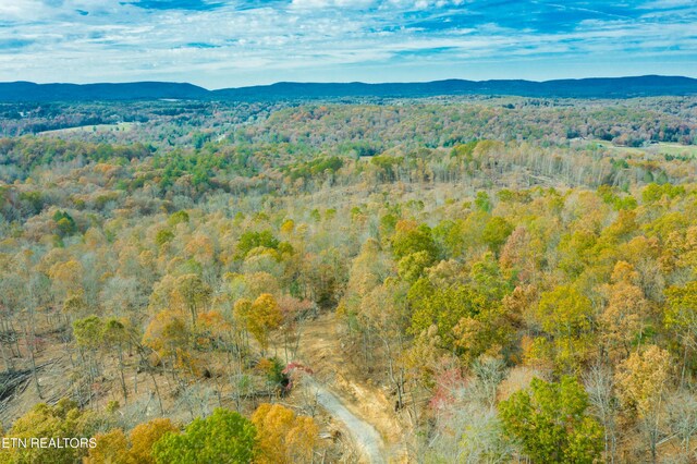Tower Rd, Rockwood, TN 37854 - photo 29