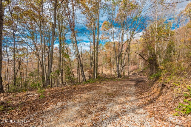 Tower Rd, Rockwood, TN 37854 - photo 30