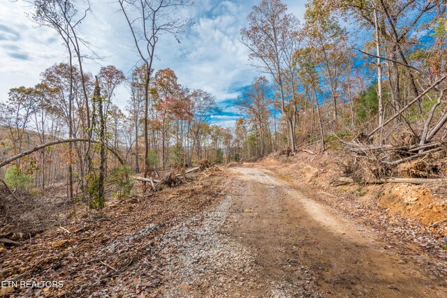 Tower Rd, Rockwood, TN 37854 - photo 31