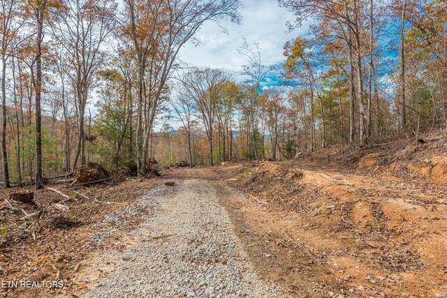 Tower Rd, Rockwood, TN 37854 - photo 32