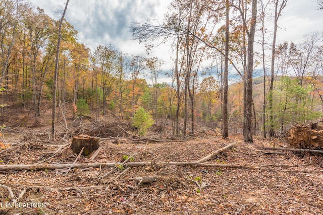 Tower Rd, Rockwood, TN 37854 - photo 33
