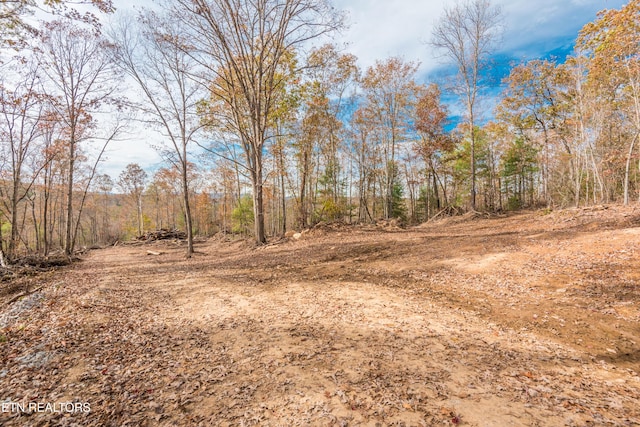 Tower Rd, Rockwood, TN 37854 - photo 34