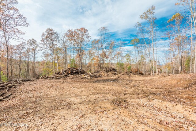 Tower Rd, Rockwood, TN 37854 - photo 35