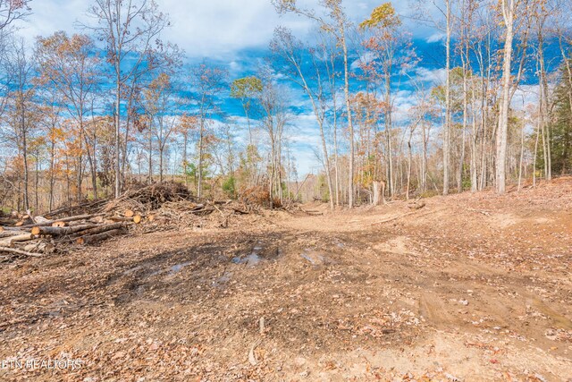 Tower Rd, Rockwood, TN 37854 - photo 36