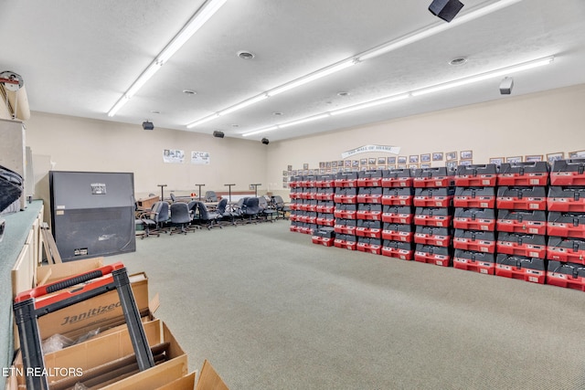 1182 Murrell Rd, Morristown, TN 37814 - exercise room with carpet floors