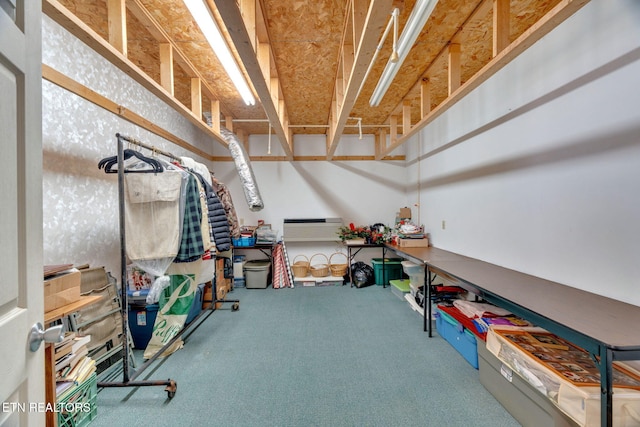 1182 Murrell Rd, Morristown, TN 37814 - view of storage room