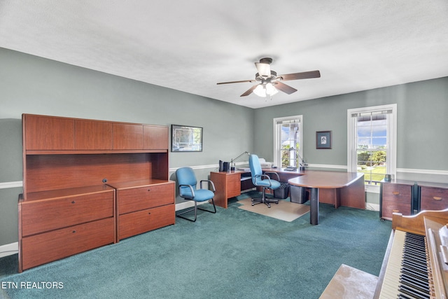 1182 Murrell Rd, Morristown, TN 37814 - carpeted office with ceiling fan