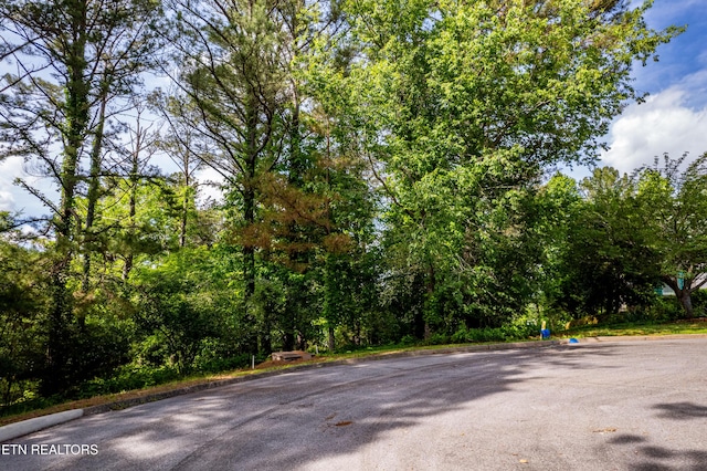 120 Wax Wing Dr, Vonore, TN 37885