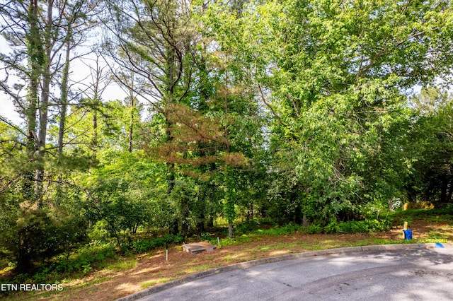 120 Wax Wing Dr, Vonore, TN 37885