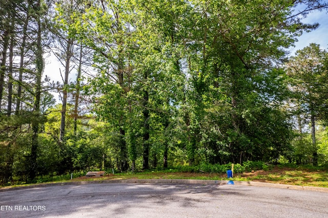 120 Wax Wing Dr, Vonore, TN 37885