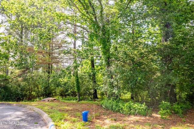 120 Wax Wing Dr, Vonore, TN 37885