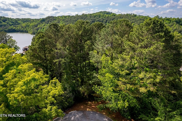 120 Wax Wing Dr, Vonore, TN 37885