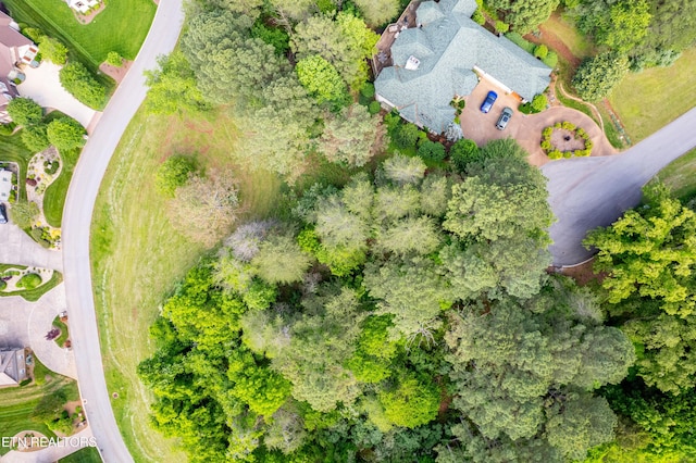 120 Wax Wing Dr, Vonore, TN 37885