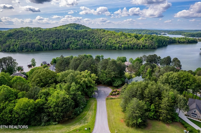120 Wax Wing Dr, Vonore, TN 37885