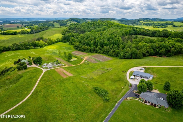 Greenlee Rd, Rutledge, TN 37861 - photo 15