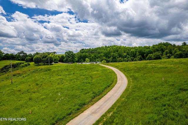 Greenlee Rd, Rutledge, TN 37861 - photo 17