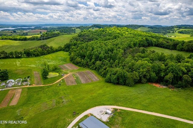 Greenlee Rd, Rutledge, TN 37861 - photo 19