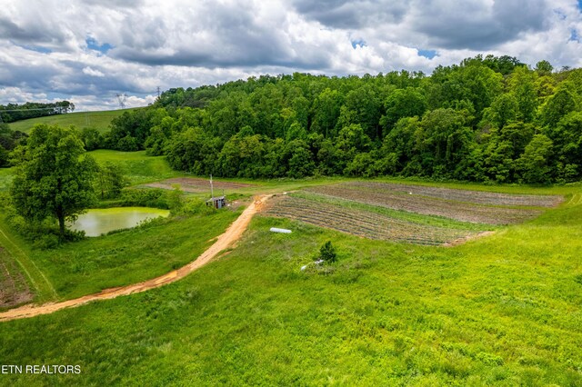 Greenlee Rd, Rutledge, TN 37861 - photo 26