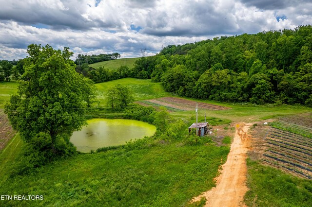 Greenlee Rd, Rutledge, TN 37861 - photo 27