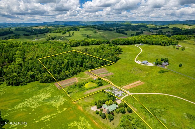 Greenlee Rd, Rutledge, TN 37861 - photo 29