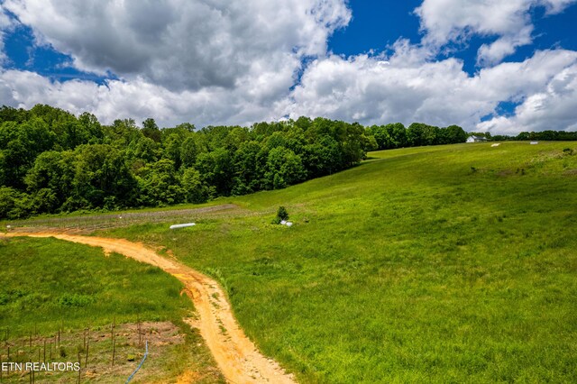 Greenlee Rd, Rutledge, TN 37861 - photo 32