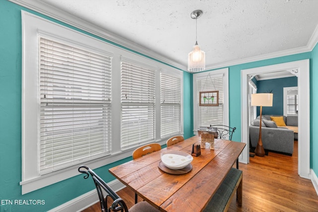 1735 NE Albert Ave, Knoxville, TN 37917 - dining room with wood finished floors, ornamental molding, baseboards, and a textured ceiling