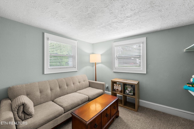 1735 NE Albert Ave, Knoxville, TN 37917 - carpeted living area featuring a textured ceiling, healthy amount of natural light, and baseboards