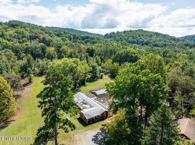 1112 E Hendron Chapel Rd, Knoxville, TN 37920 - photo 34