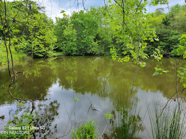 1112 E Hendron Chapel Rd, Knoxville, TN 37920 - photo 9