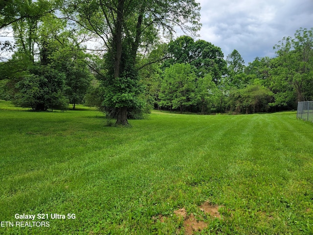 1112 E Hendron Chapel Rd, Knoxville, TN 37920 - photo 10