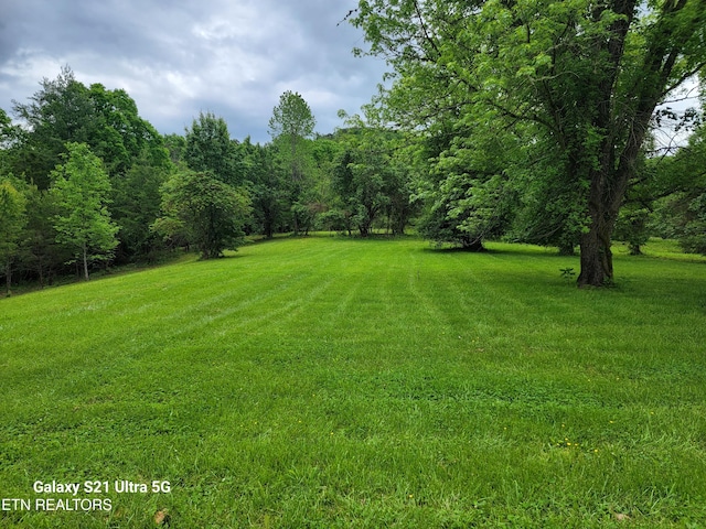 1112 E Hendron Chapel Rd, Knoxville, TN 37920 - photo 11