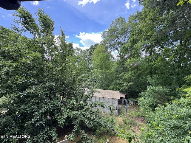 1040 Sturmhaben Way, Newport, TN 37821 - view of yard