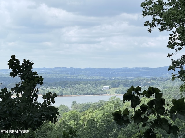 1040 Sturmhaben Way, Newport, TN 37821 - view of mountain backdrop with a heavily wooded area and a nearby body of water
