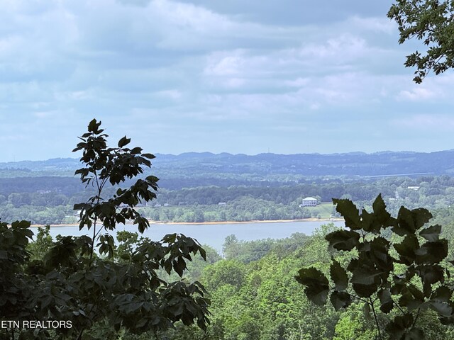 1040 Sturmhaben Way, Newport, TN 37821 - mountain view featuring a nearby body of water and a heavily wooded area