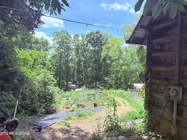 1040 Sturmhaben Way, Newport, TN 37821 - view of yard