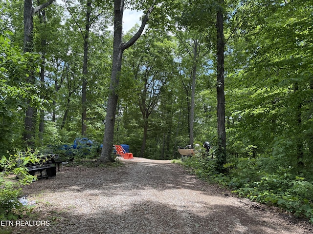 1040 Sturmhaben Way, Newport, TN 37821 - view of yard featuring a forest view