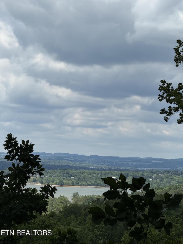 1040 Sturmhaben Way, Newport, TN 37821 - view of mountain backdrop featuring a nearby body of water and a heavily wooded area