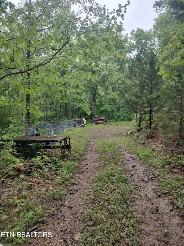 1040 Sturmhaben Way, Newport, TN 37821 - view of dirt / gravel road featuring a wooded view