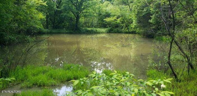 1040 Sturmhaben Way, Newport, TN 37821 - view of wooded area with a water view
