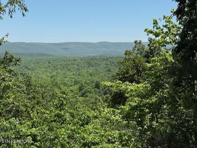 25 Shawnbury Pt, Crossville, TN 38558 - photo 35