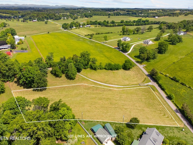 1223 Walker Rd, Maryville, TN 37801 - photo 4